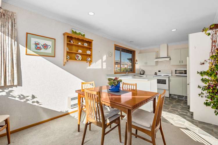 34 Burgess Street Green Island_5