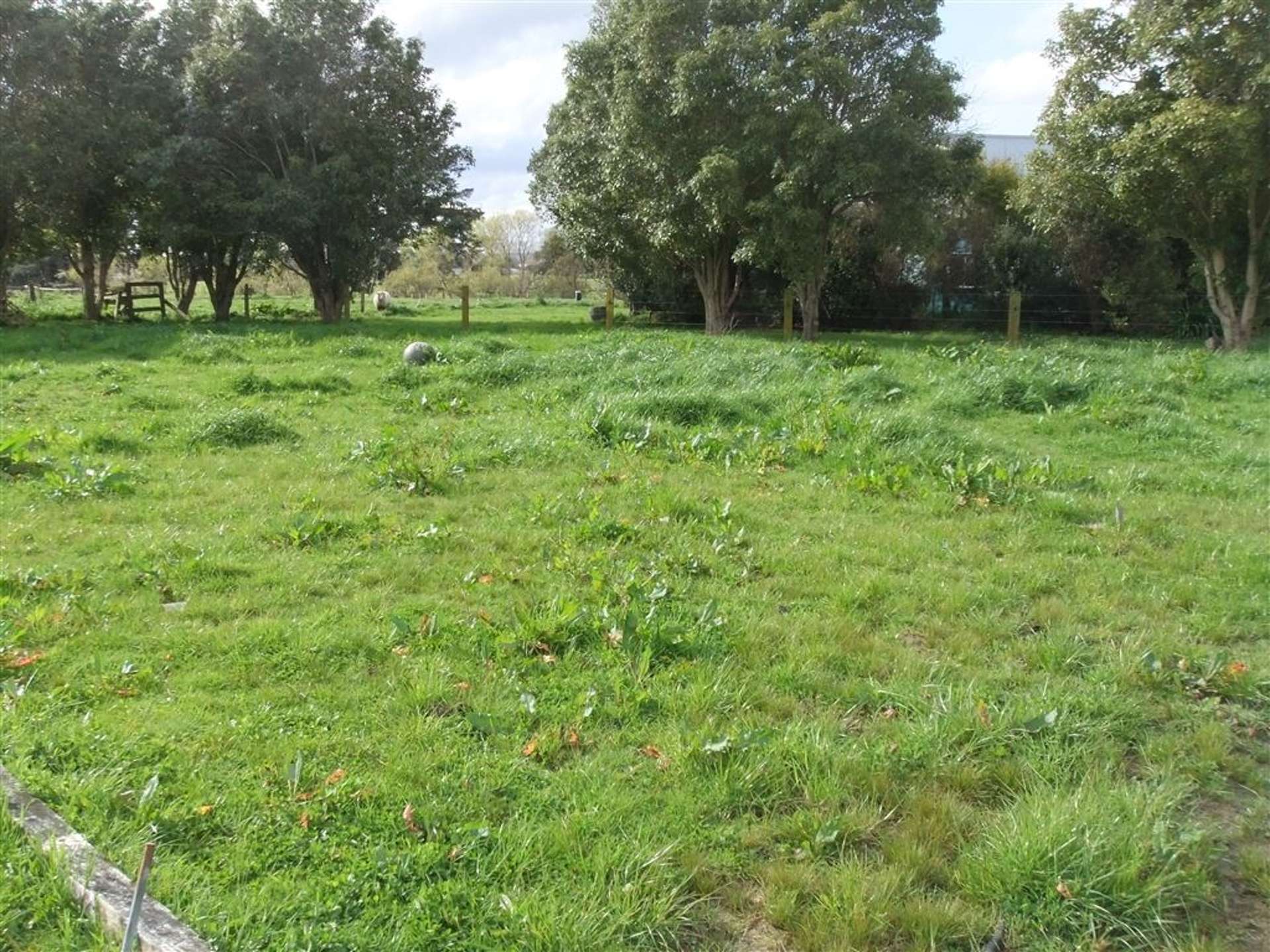 35 Grand Street Shannon_0