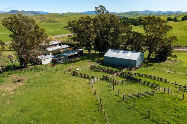 Entry Level Sheep Farm