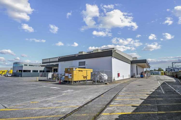 17 Nesdale Avenue Wiri_9