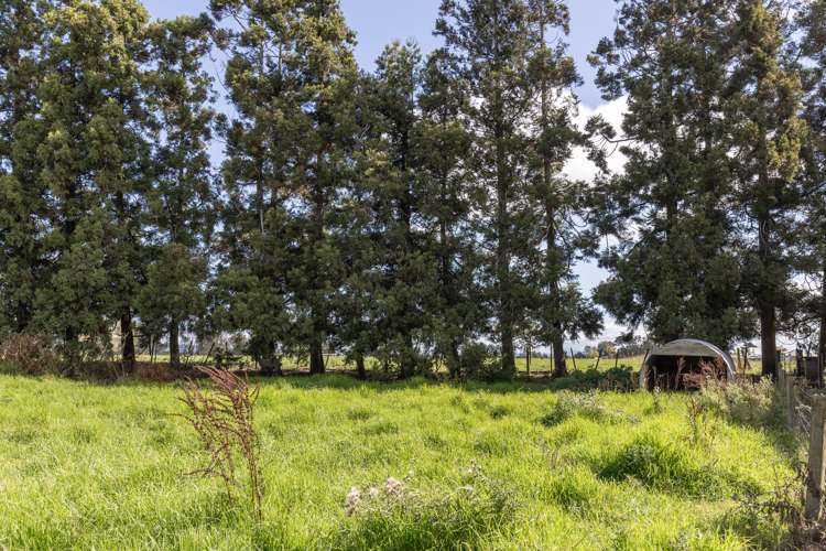 2702 Tahuna-Ohinewai Road Hoe-o-tainui_32