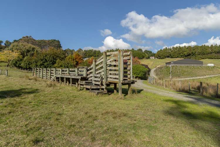 16 Turntable Hill Road Whakamarama_6