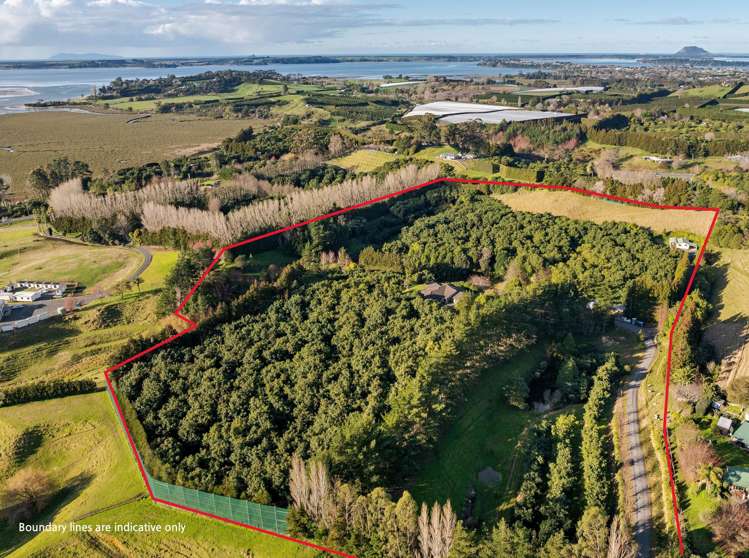 85C Turntable Hill Road Whakamarama_21