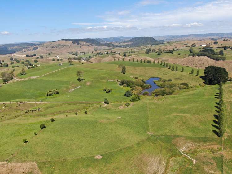 Paekaka Road Piopio_17