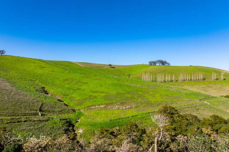 Massey Road Maungaturoto_22