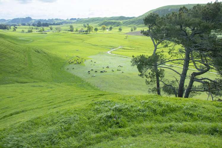 62 Rehi Road Ngakuru_19