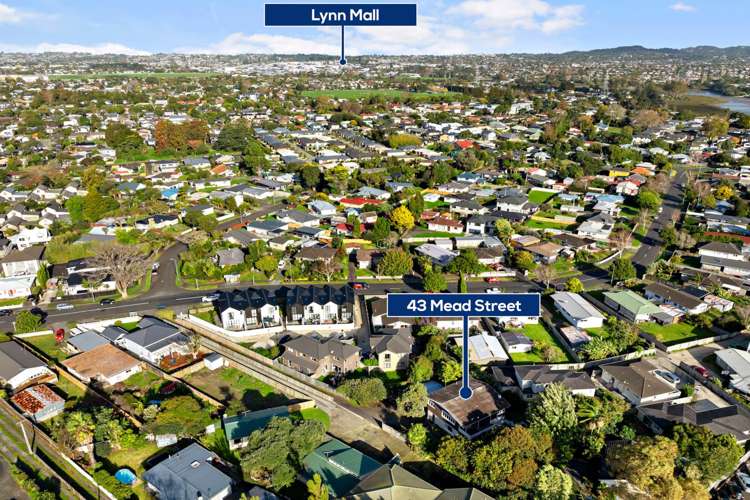 43 Mead Street Avondale_19