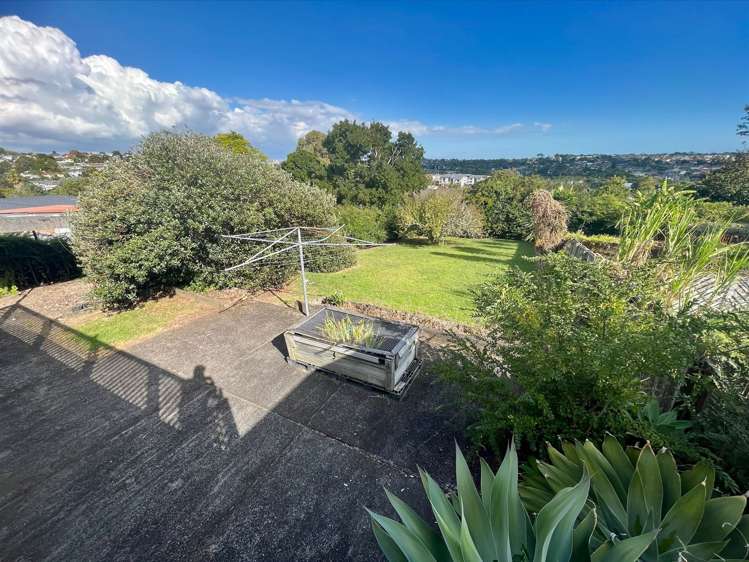 27 Tiverton Road Avondale_13