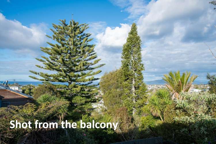 2/100 Sunrise Avenue Mairangi Bay_13