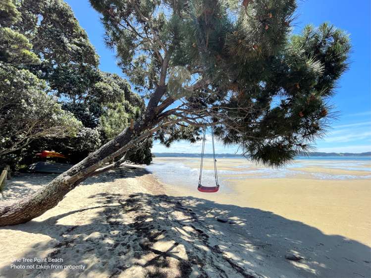 125a One Tree Point Road One Tree Point_23