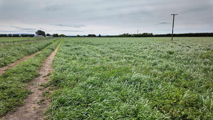 85 West Road Havelock North_13