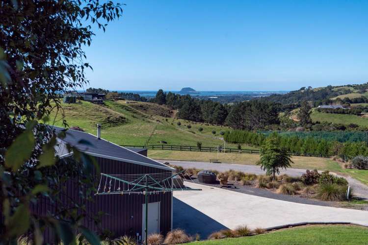 349A Whakamarama Road Whakamarama_17