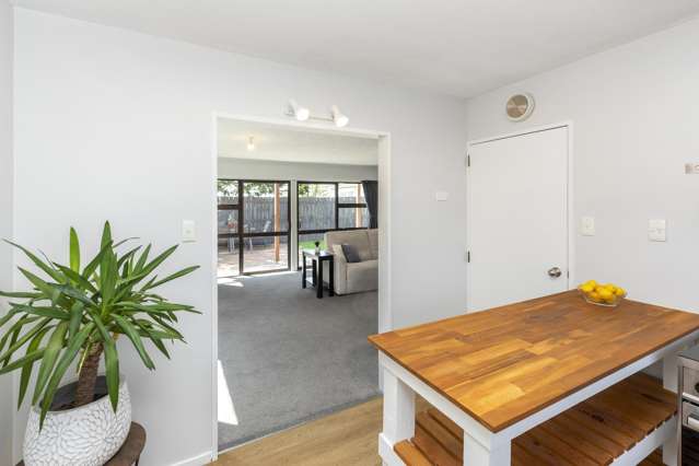 19 Inglis Street Phillipstown_3