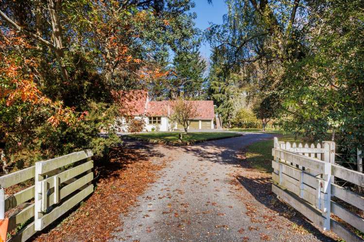 768 Mount Stewart Halcombe Road Halcombe_30