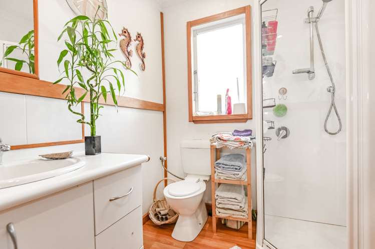 308a Lumsden Road Akina_6