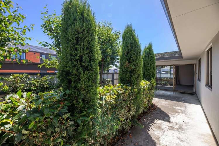 29 Francis Street Blenheim_5