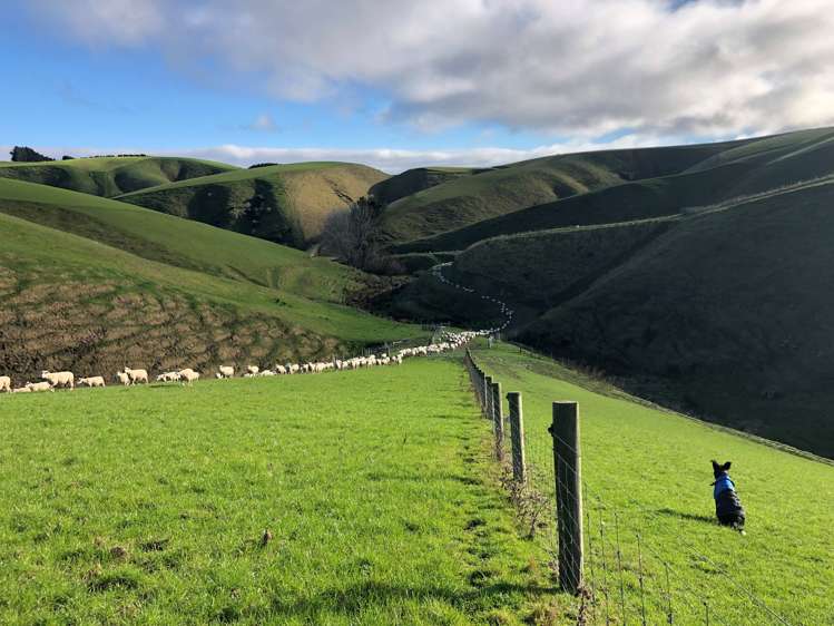 174 Mcculloch Road Balclutha_6