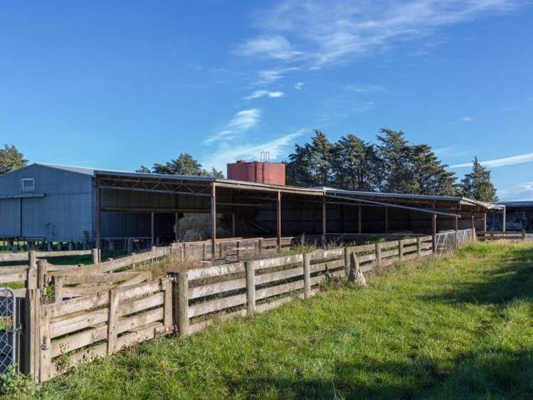 1347 Rakaia Highway Chertsey_12