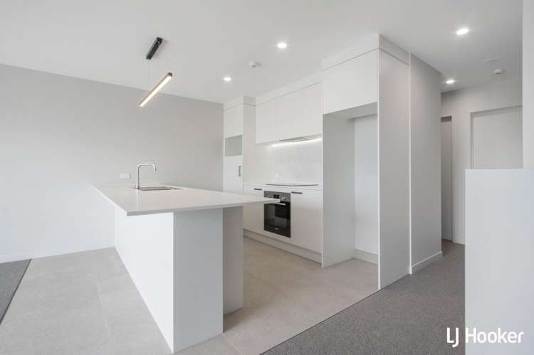 58 Wilson Waihi Beach_6