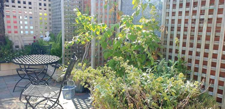 109 North Street Seaview_31