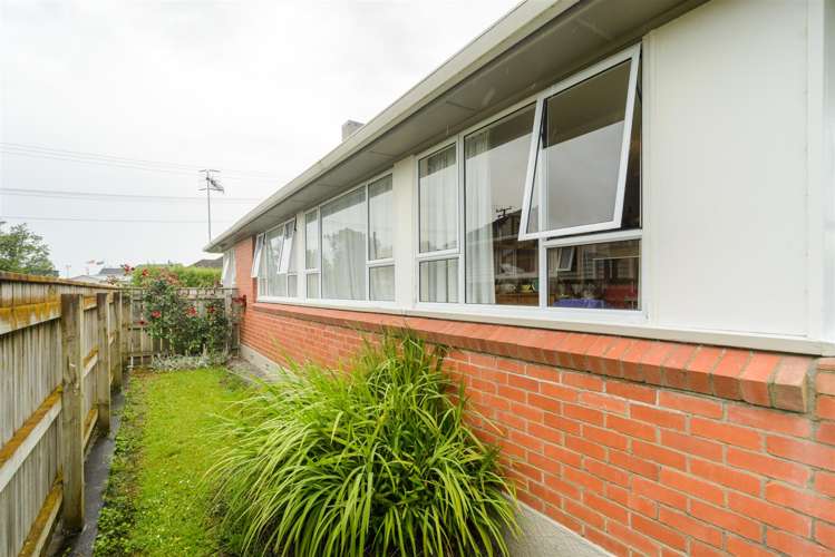 27 Holland Crescent Bulls_25