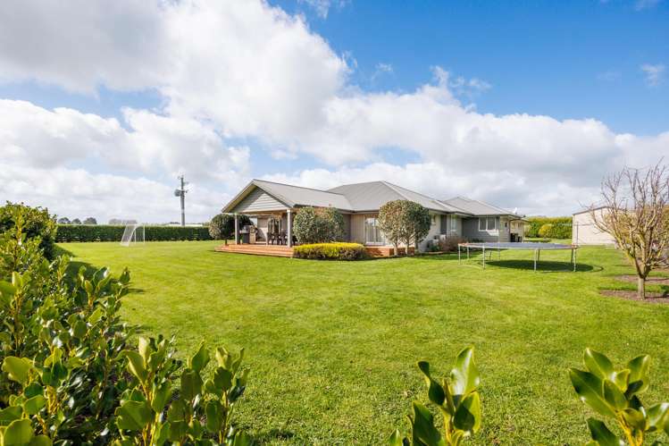 25 Roots Street East Feilding_6