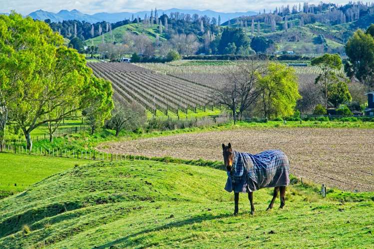 Ormond Valley Road Ormond_5