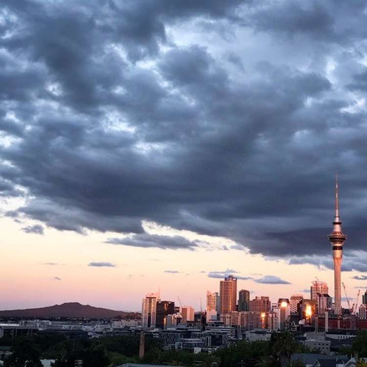 61 Wood Street Freemans Bay_9