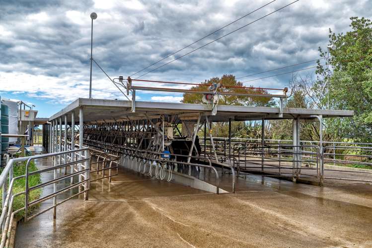 630 Otakiri Road Otakiri_7