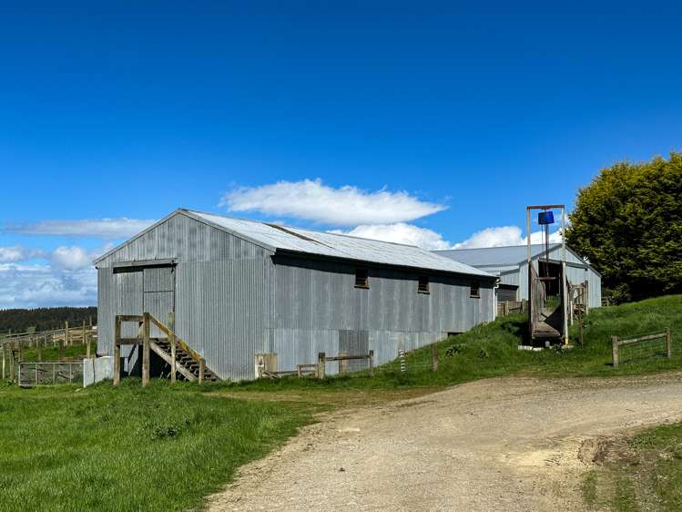 30 Frazer Road Gore Surrounds_13