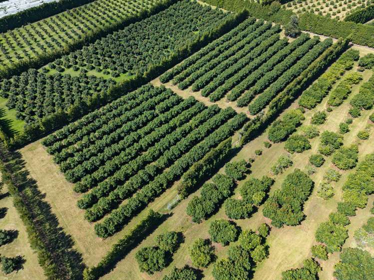 88 Stone Wall Rse Maungatapere_14