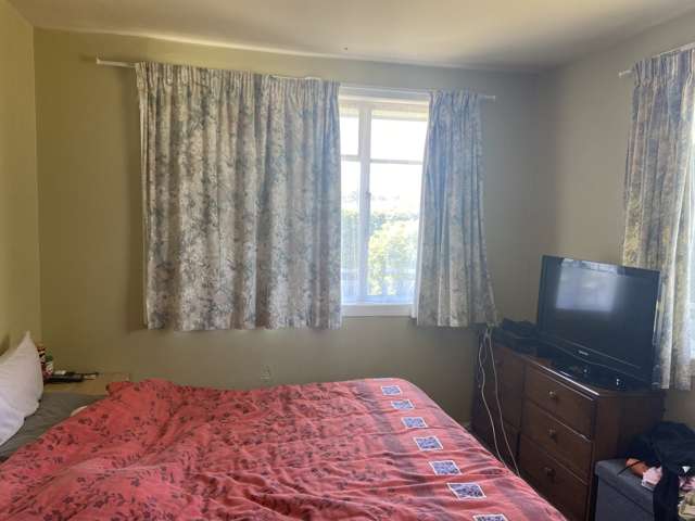 11 Manchester Street Tinwald_4