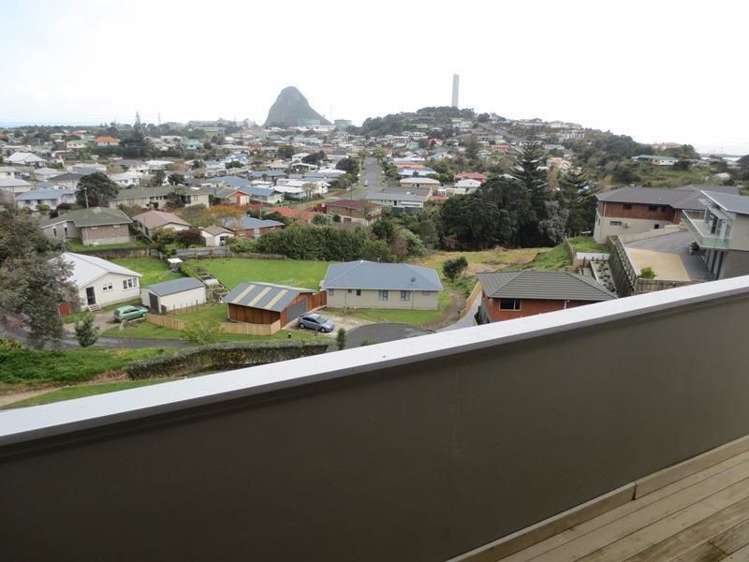 29 Crownhill Street Spotswood_7