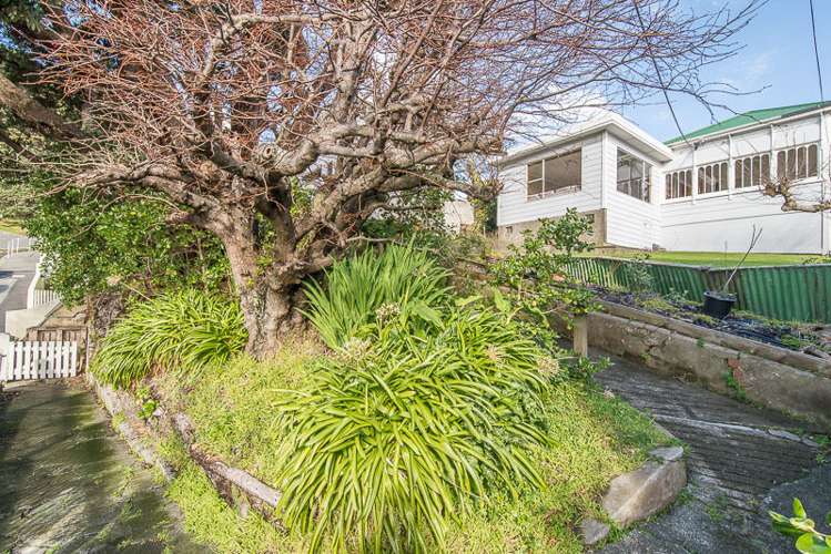 98 Majoribanks Street Mount Victoria_14
