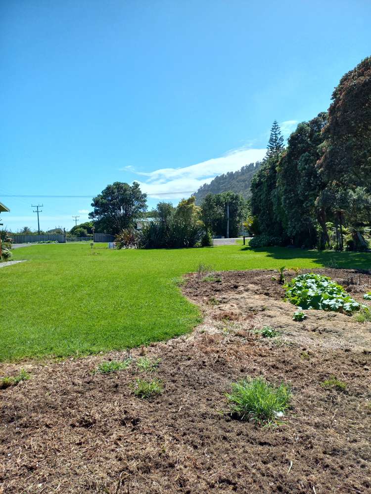 12 Ives Street Hector_5