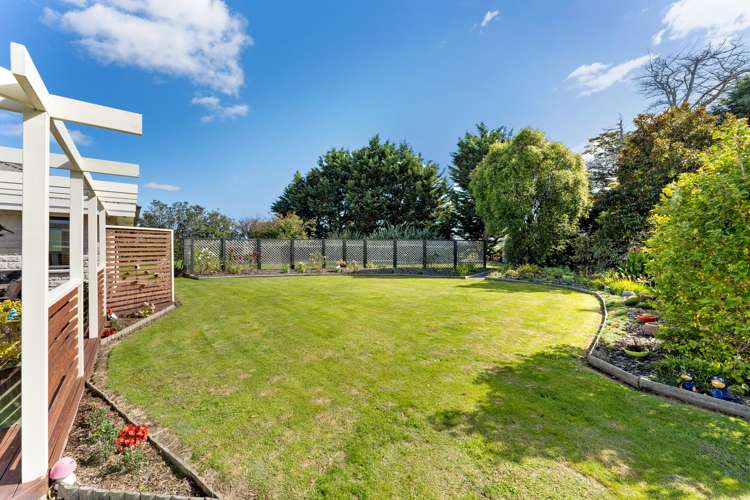 981 Roberts Line Bunnythorpe_9