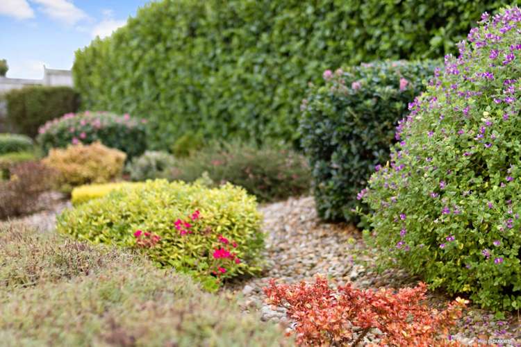 8 Josh Road Huapai_24