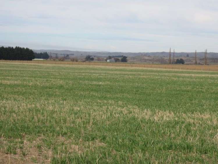 759 Gladbrook Road Middlemarch_14