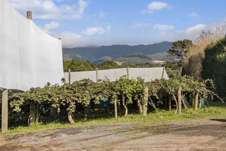 175 Busby Road Katikati_9