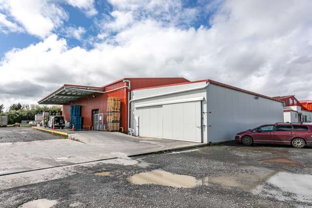 56 Grey Street Paeroa_2