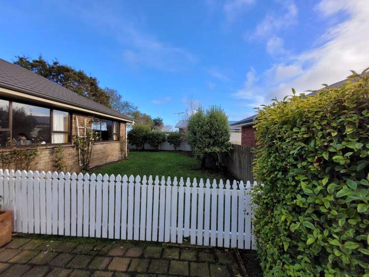 105 Edinburgh Crescent Waikiwi_12
