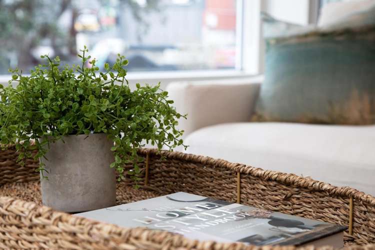 1/14 Brougham New Plymouth City Centre_3