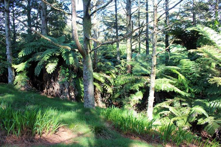 318 Waitawheta Road Waihi_11