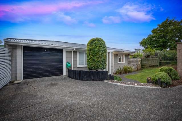 206 Upper Harbour Drive Greenhithe_1