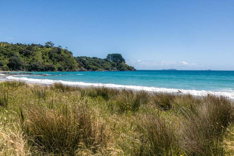 2 Te Toki Road Palm Beach_21