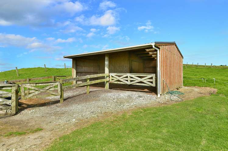 1880 South Head Road South Head_19