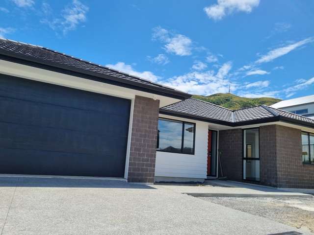 62 Hokioi Drive Porirua_2