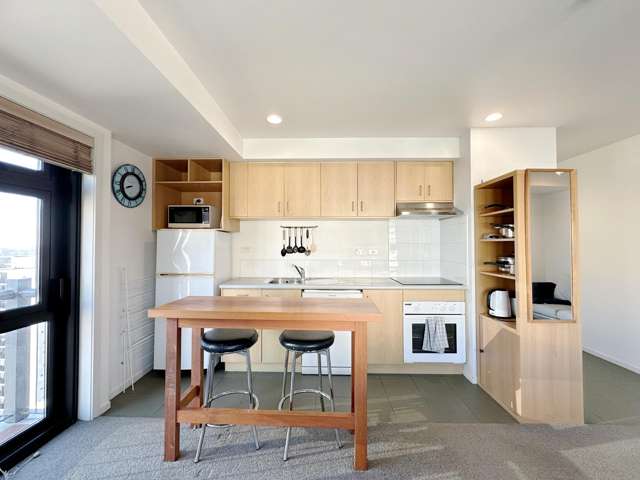 13b/2 Eden Crescent Auckland Central_2