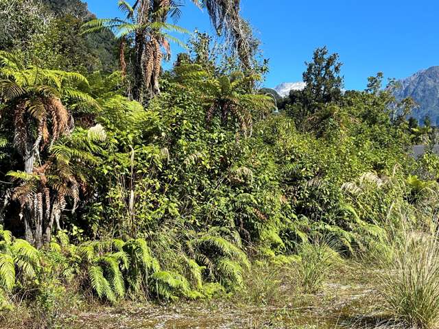 3 Batson Place Franz Josef_2