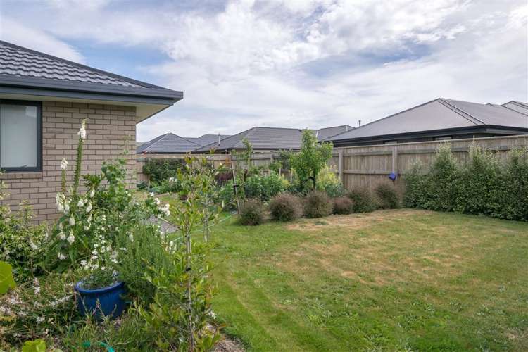 210 Taylor Pass Road Witherlea_18